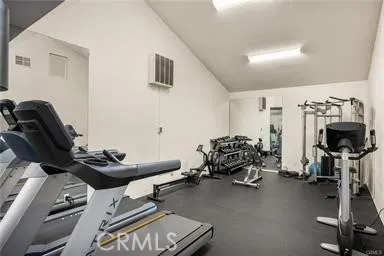 Well Appointed Gym