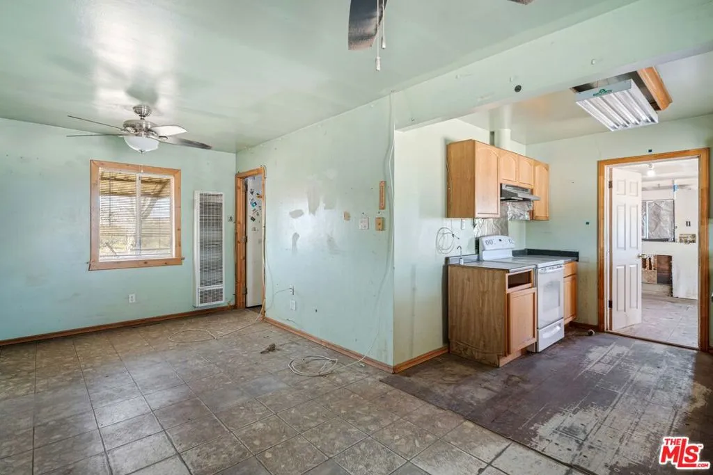 45611 250th Street, Lancaster, California 93535 home-pic-5