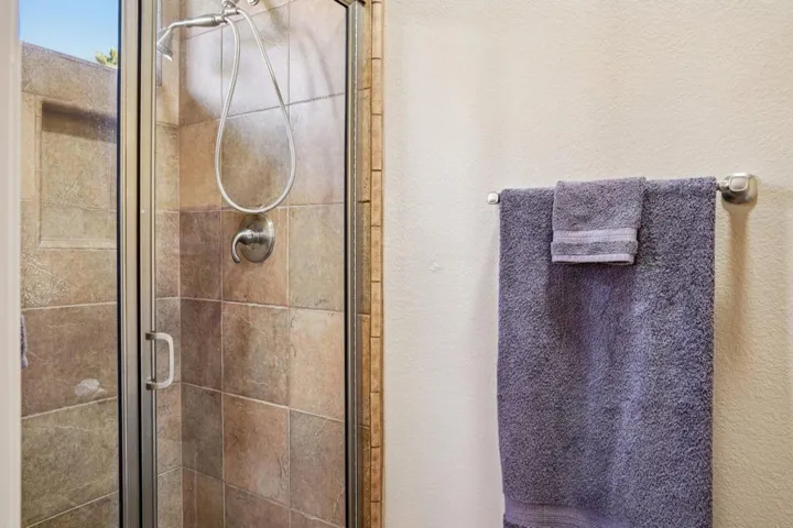 Primary Bath Shower
