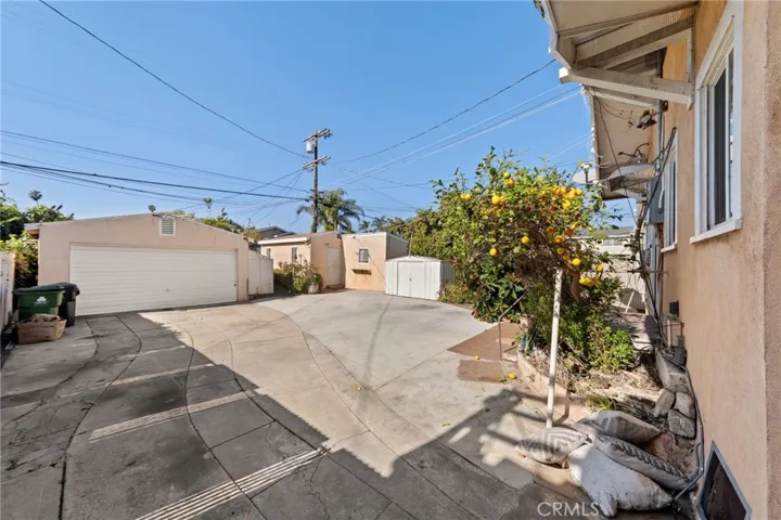 Along with landscaping and fruit tree.