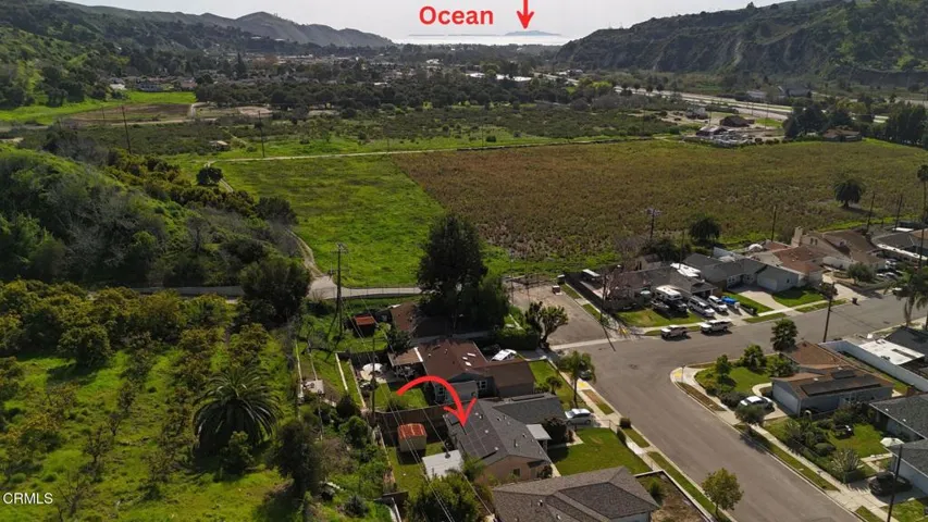 Drone to Ocean