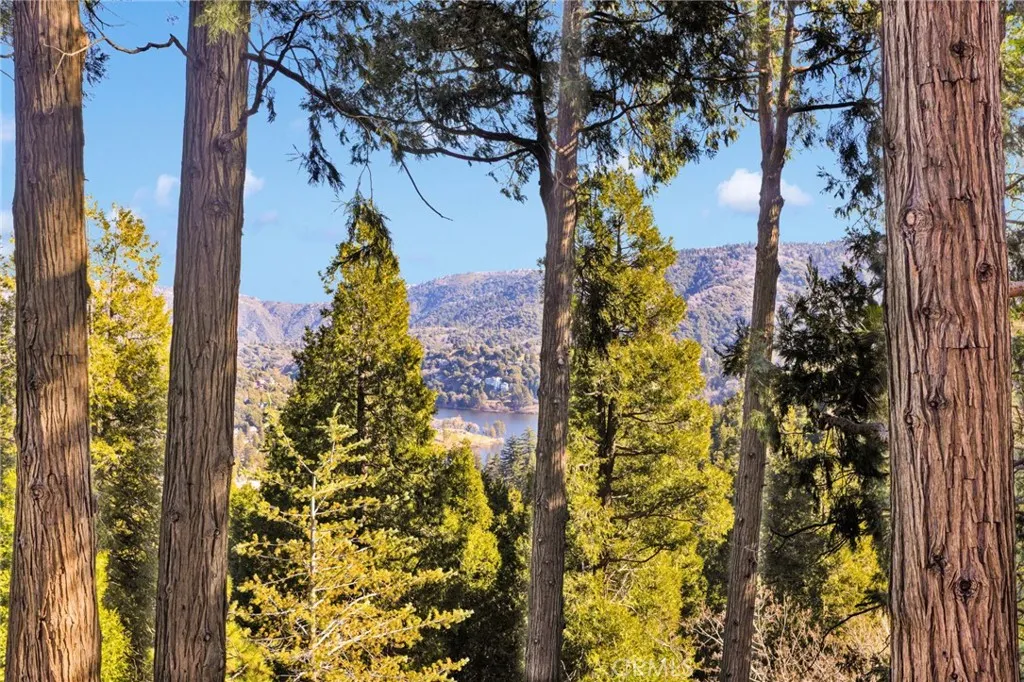 993 Mercury Way, Crestline, California 92325 home-pic-12