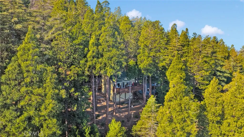 993 Mercury Way, Crestline, California 92325 home-pic-52