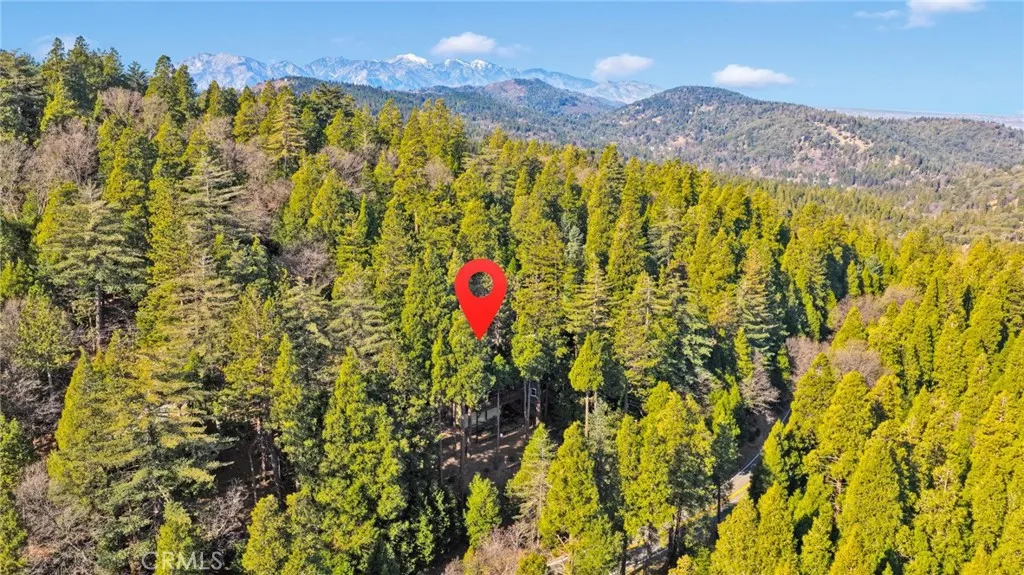 993 Mercury Way, Crestline, California 92325 home-pic-60