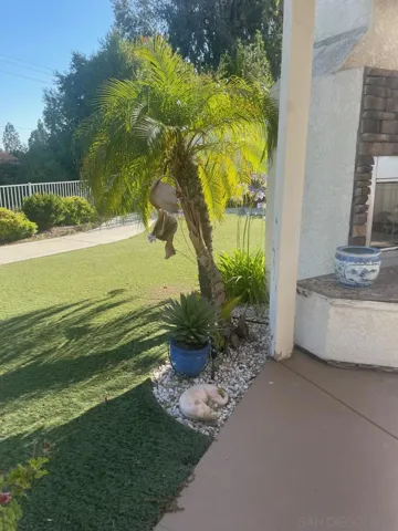 Partial view of patio and yard with artificial grass and wrought iron fencing across the back of the property.  No one is behind me, it is a long slope down to the road.