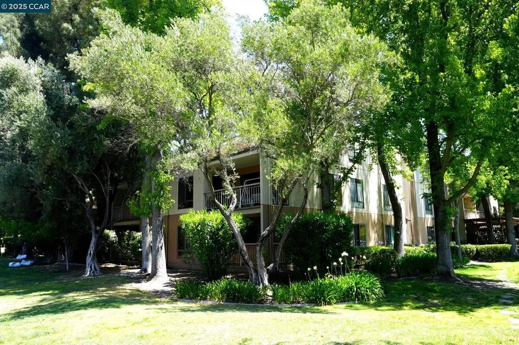 440 N Civic Dr 203, Walnut Creek, California 94596 home-pic-29