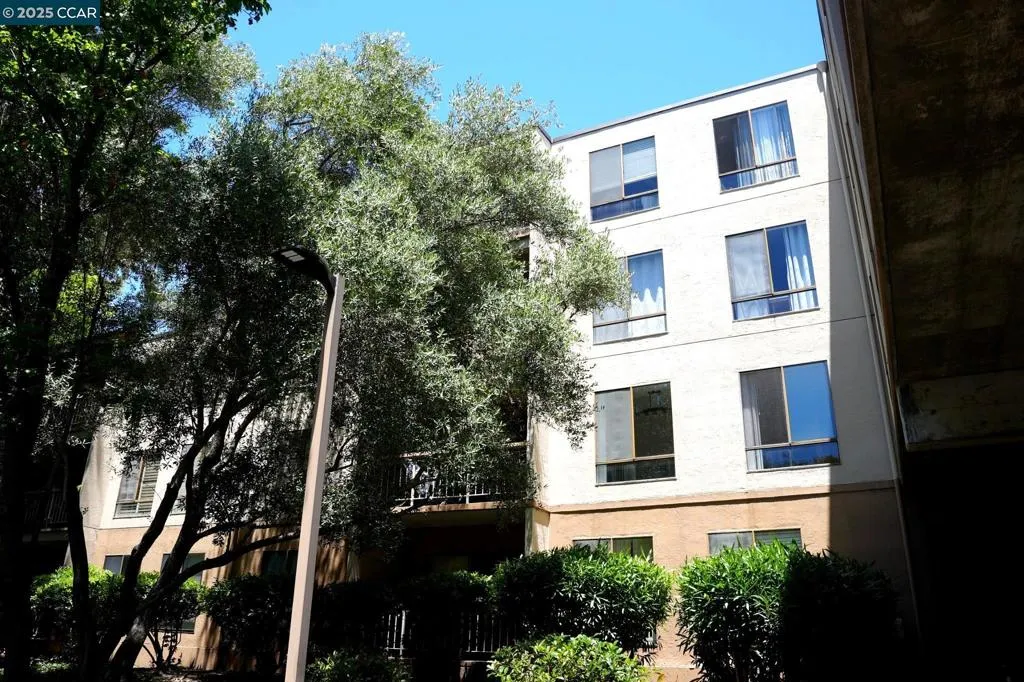 440 N Civic Dr 203, Walnut Creek, California 94596 home-pic-46