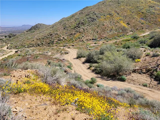 Super bloom Spring '23