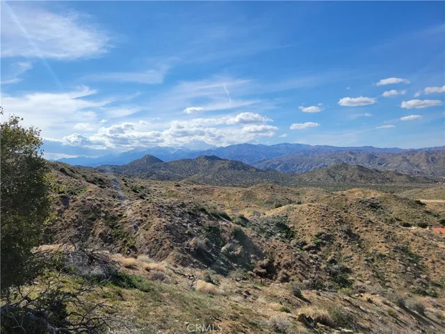 Views to the West