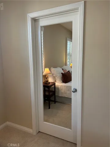 Mirror on the closet door.