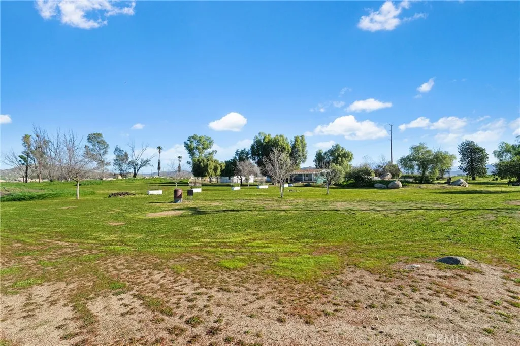 Back area of property