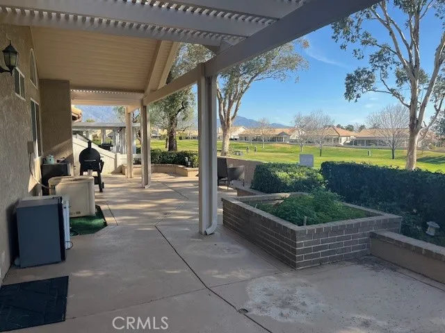 View from Back Yard