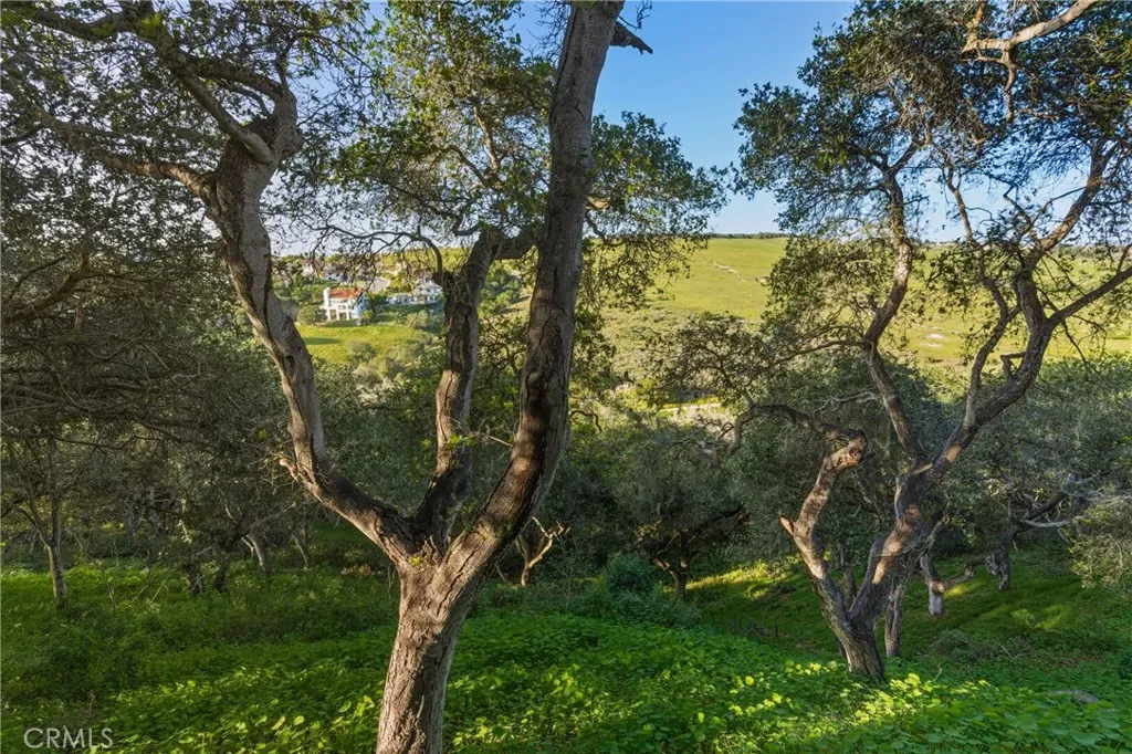 692 Shamrock, Pismo Beach, California 93449 home-pic-68