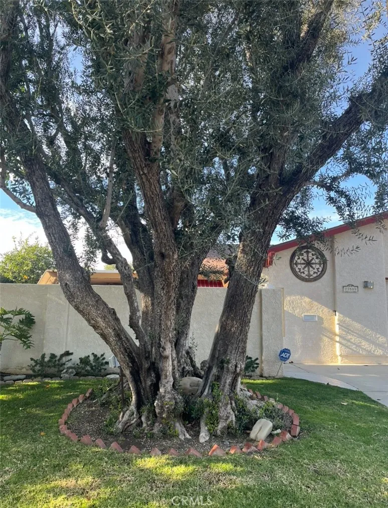 23509 Via Chantilly, Valencia, California 91355 home-pic-3