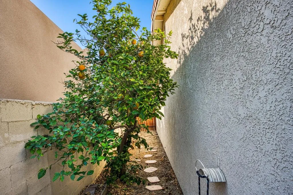 51800 Avenida Ramirez, La Quinta, California 92253 home-pic-20