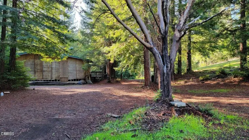 Driveway + Shop