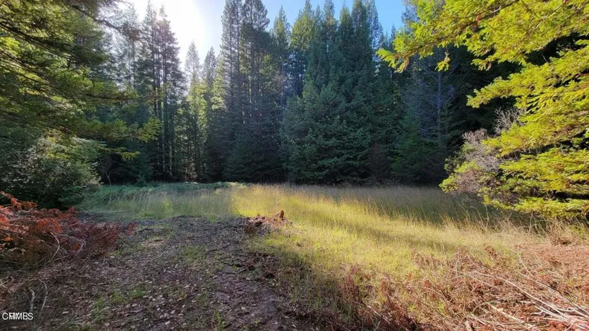 Creekside Meadow