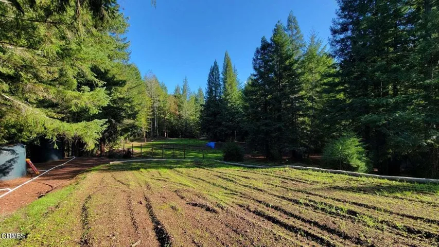 Meadow