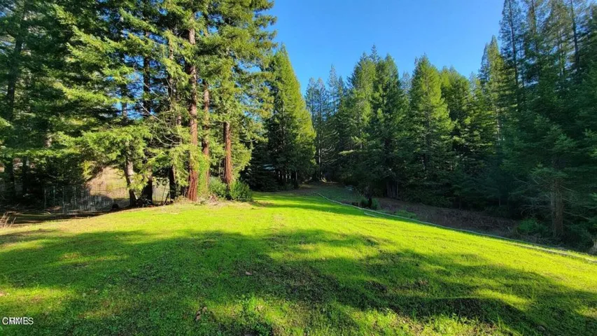 Meadow