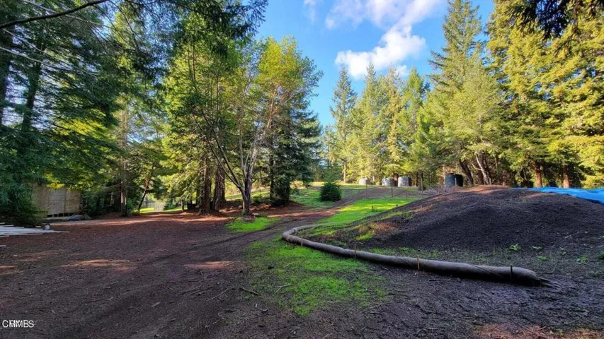 Driveway Approaching Shop
