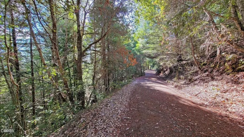 Driveway to Mid Landing