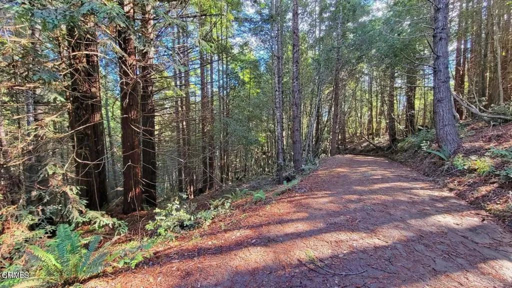 Driveway Near Knoll