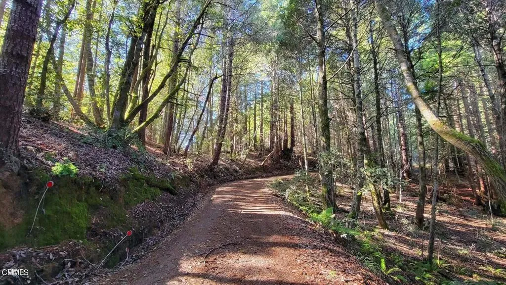 Driveway from Mid Landing to Knoll