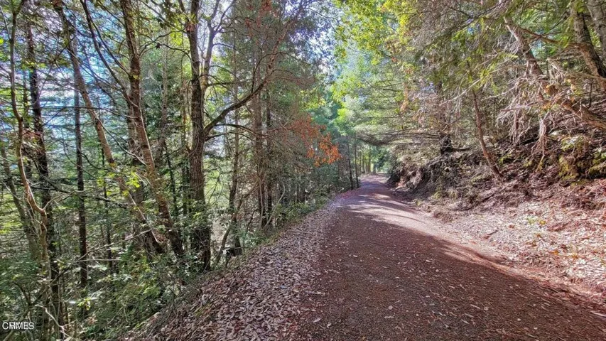 Driveway to Mid Landing
