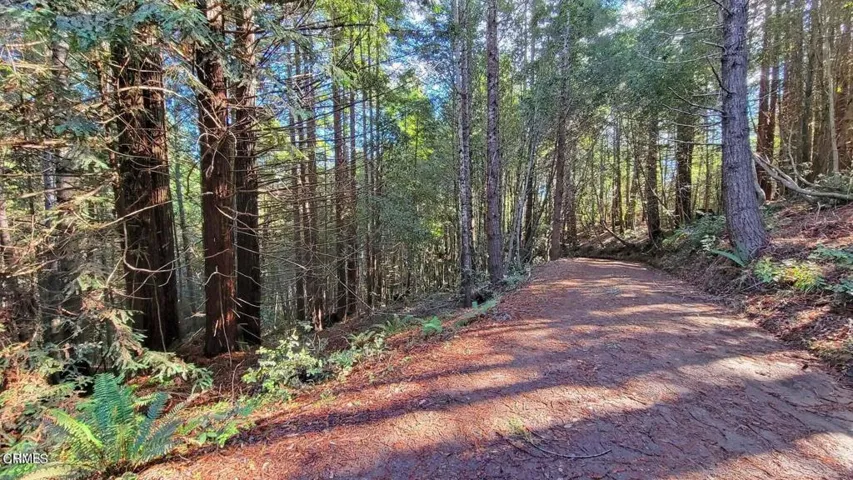 Driveway Near Knoll