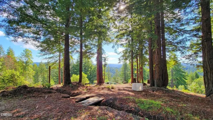Mid View3