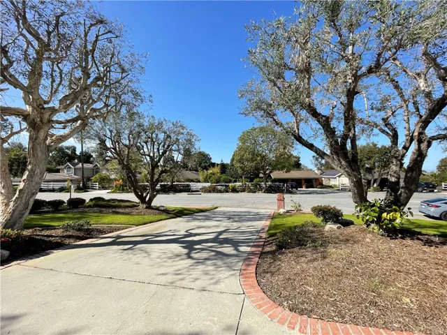 View of the neighborhood from the driveway