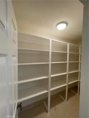Pantry located in the kitchen behind a door