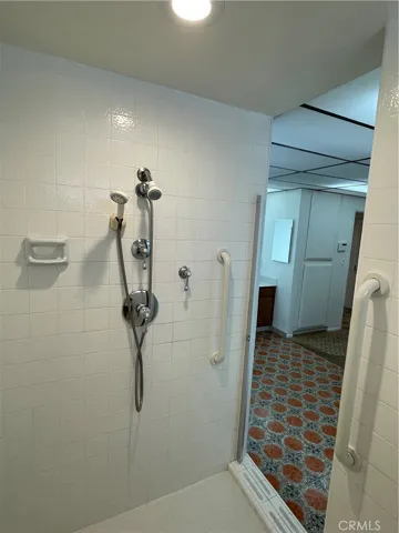 Dual-head, walk-in shower with opaque door