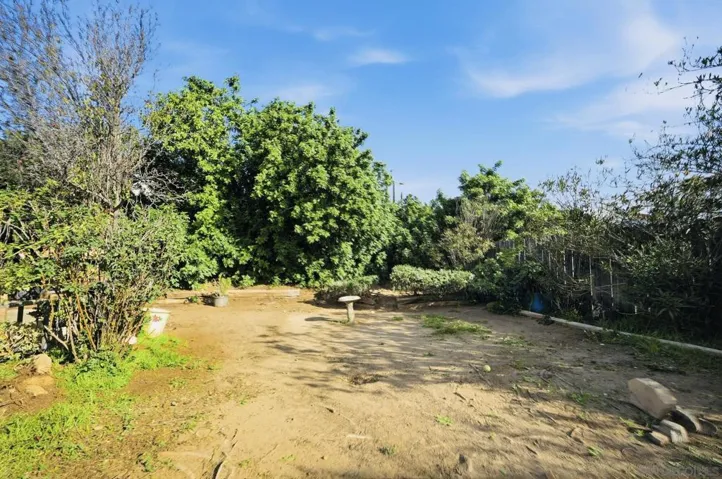 Large yard!