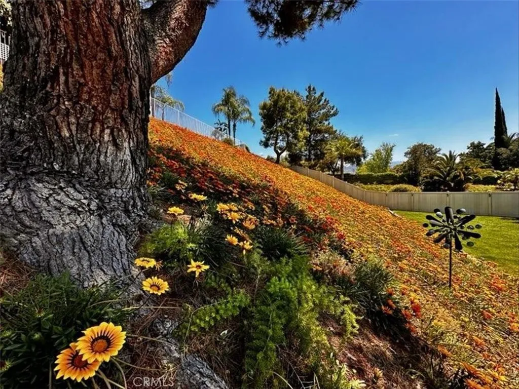 7743 Gold Buckle Court, Highland, California 92346 home-pic-11