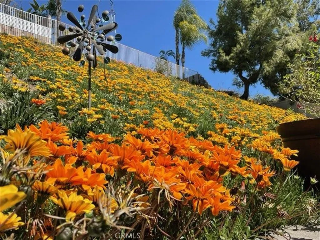 7743 Gold Buckle Court, Highland, California 92346 home-pic-12
