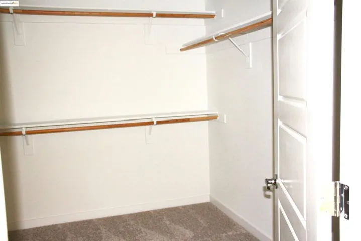 Spacious closet featuring carpet flooring