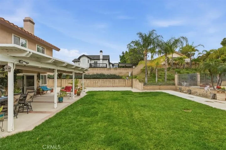 Backyard Grassy Area