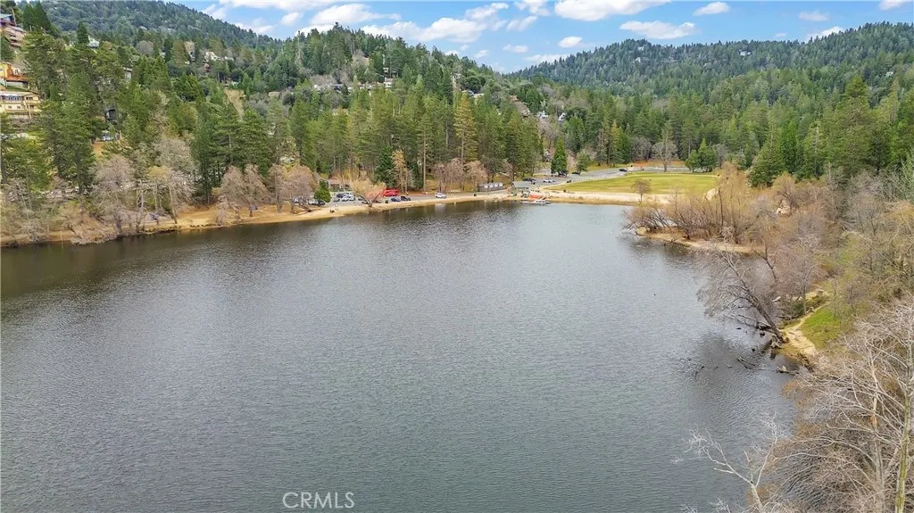 1044 Nesthorn Drive, Crestline, California 92325 home-pic-36