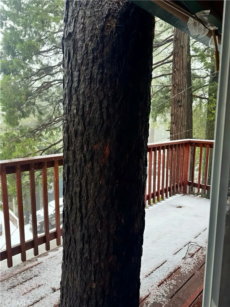 1044 Nesthorn Drive, Crestline, California 92325 home-pic-50