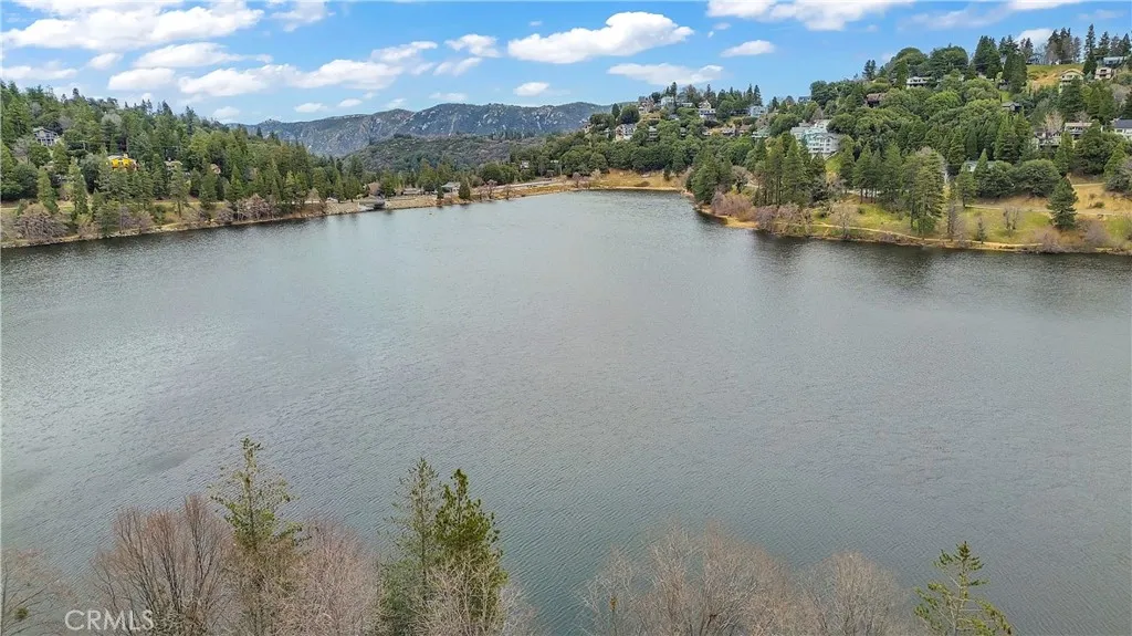 1044 Nesthorn Drive, Crestline, California 92325 home-pic-34