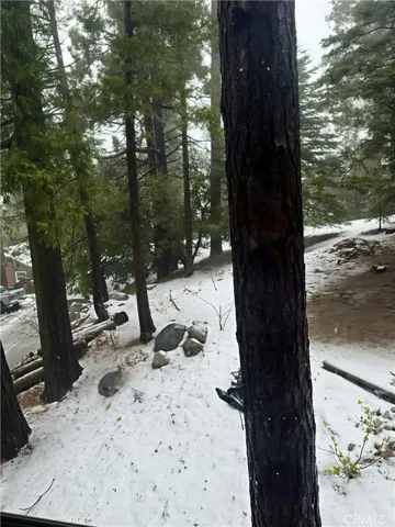 Snowfall in Feb 2026