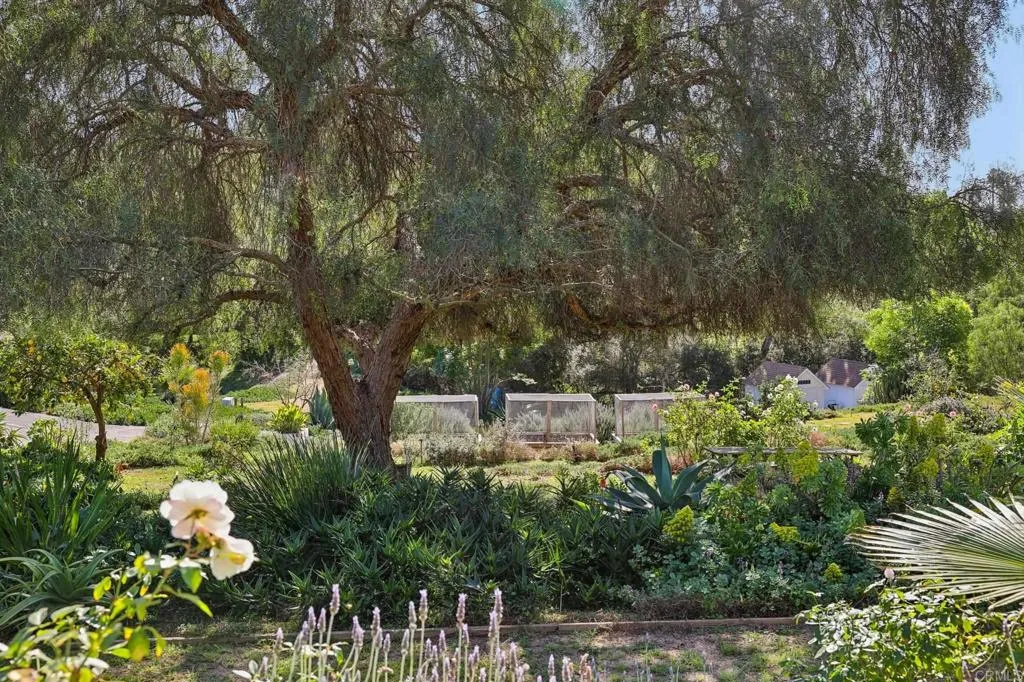 1761 Winterwarm Drive, Fallbrook, California 92028 home-pic-41