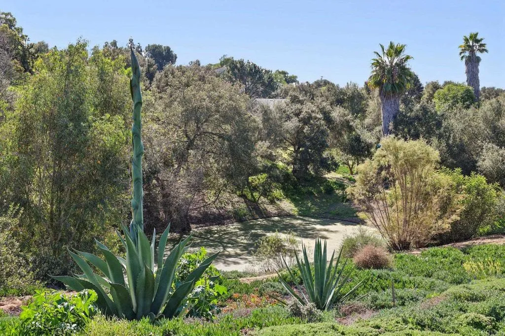 1761 Winterwarm Drive, Fallbrook, California 92028 home-pic-46