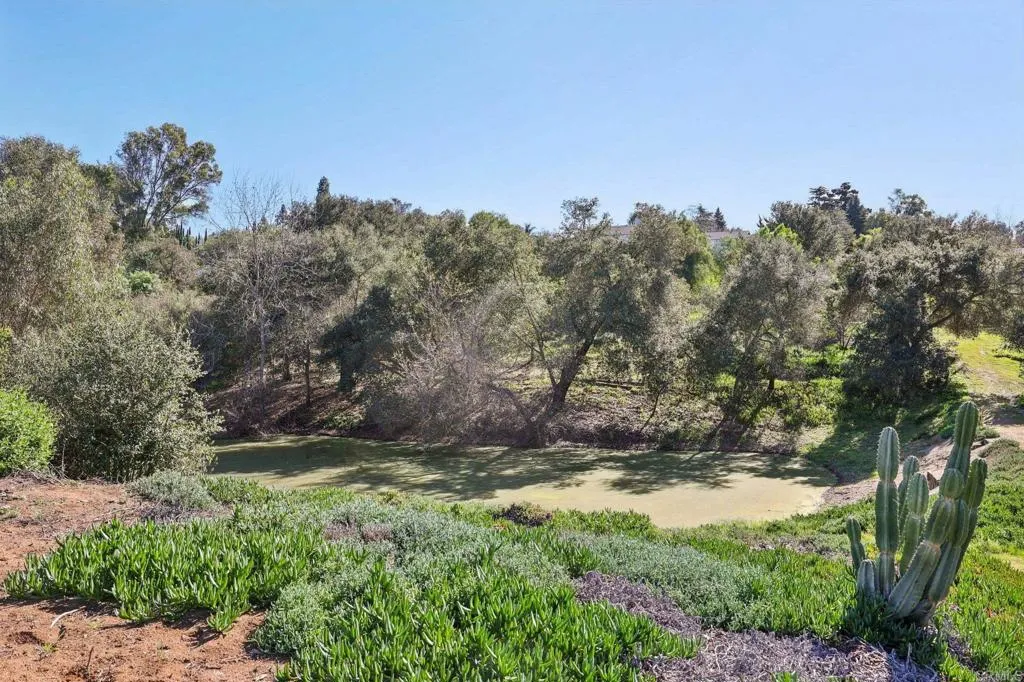 1761 Winterwarm Drive, Fallbrook, California 92028 home-pic-44