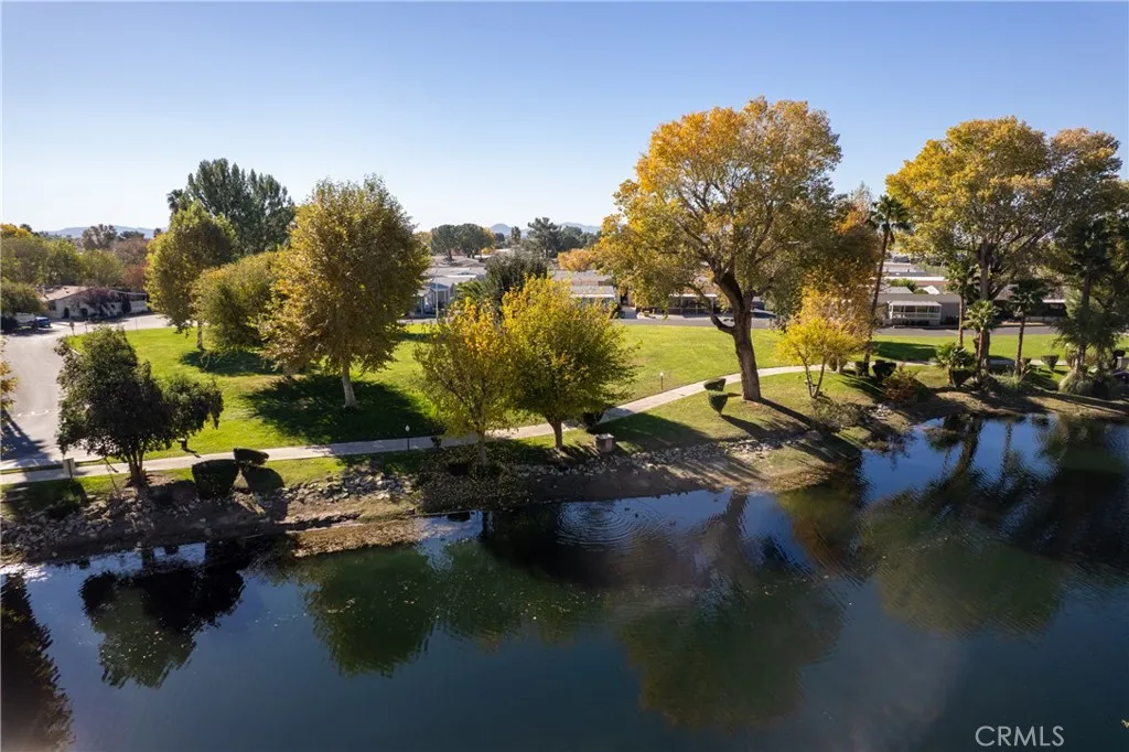 Pond