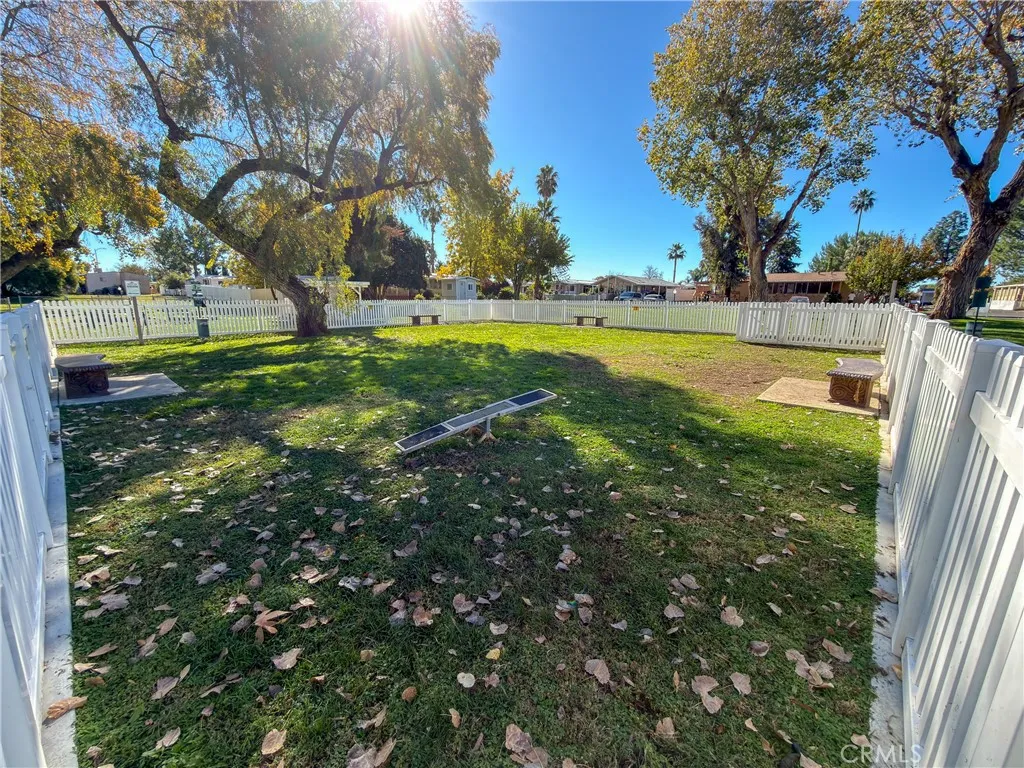Dog Park