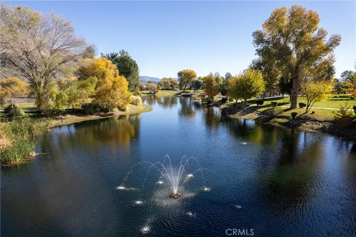 Pond with Fishing