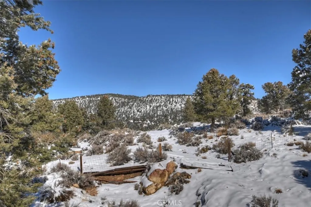 46727 Minnow, Big Bear City, California 92314 home-pic-52