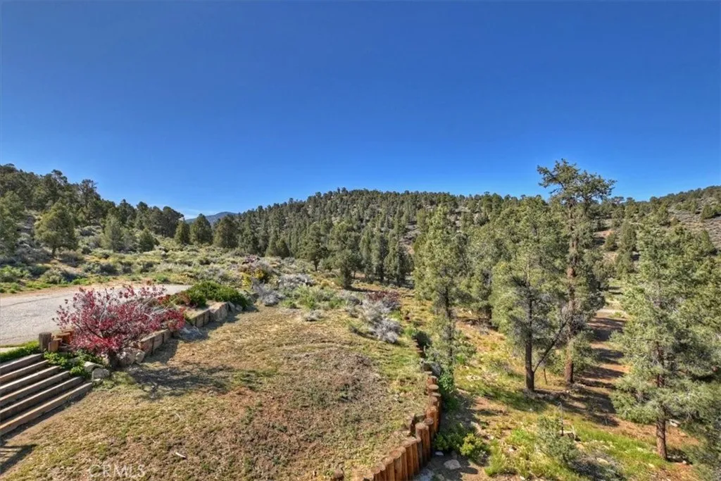 46727 Minnow, Big Bear City, California 92314 home-pic-65